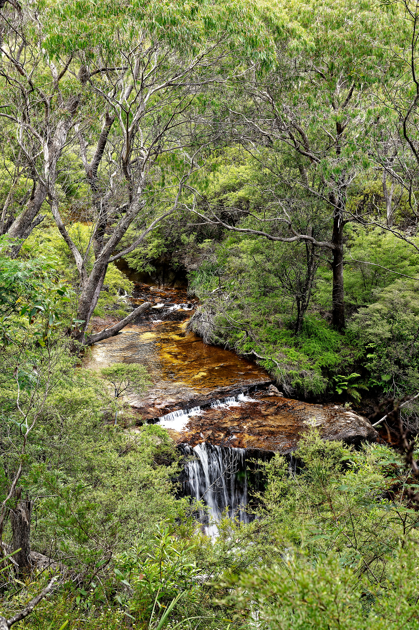 11 January 2023   0025processdfotosbyme p1